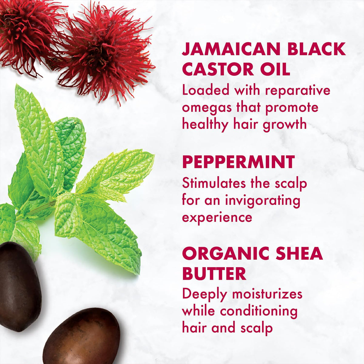 Close-up of peppermint and aloe vera on the SheaMoisture label.