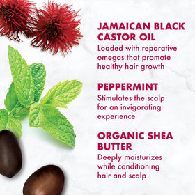 Close-up of peppermint and aloe vera on the SheaMoisture label.