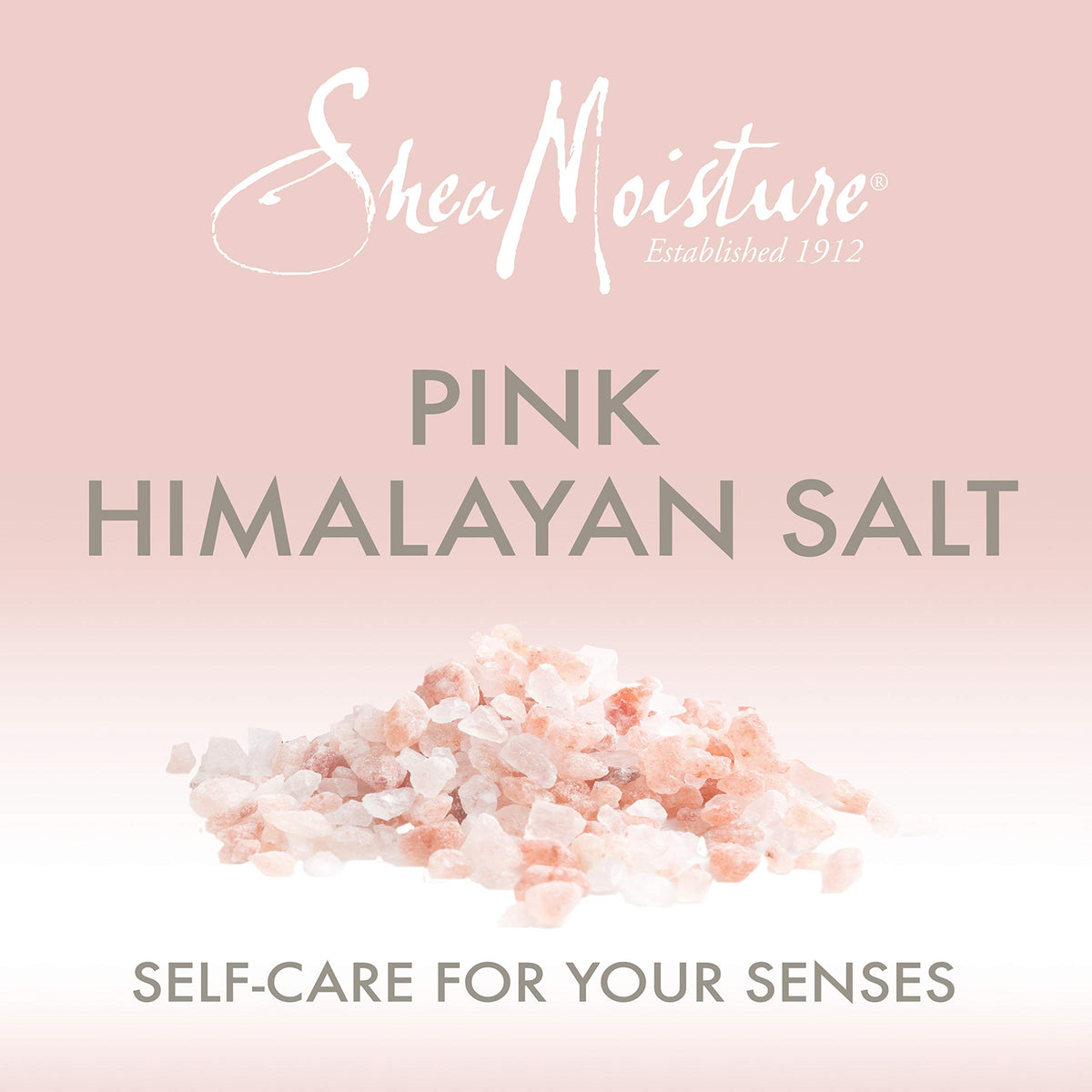 The body wash lather demonstrates rich foam for a spa-like cleanse with SheaMoisture.