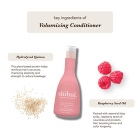 Raspberry Seed Oil and Quinoa ingredients highlighted in Shibui conditioner.
