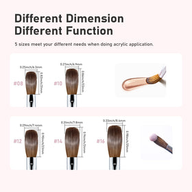 Shine Chance acrylic nail brush Size 12 aluminum handle with brass ferrule for durable use.