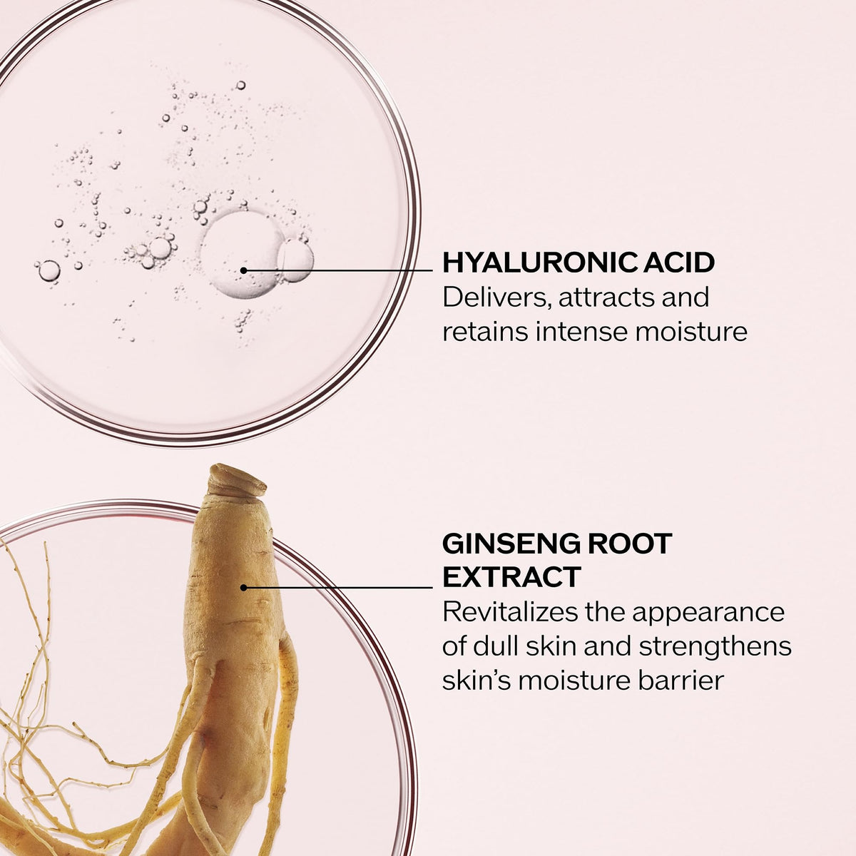 Shiseido Essential Energy Day Cream SPF 20 label close-up emphasizing protection
