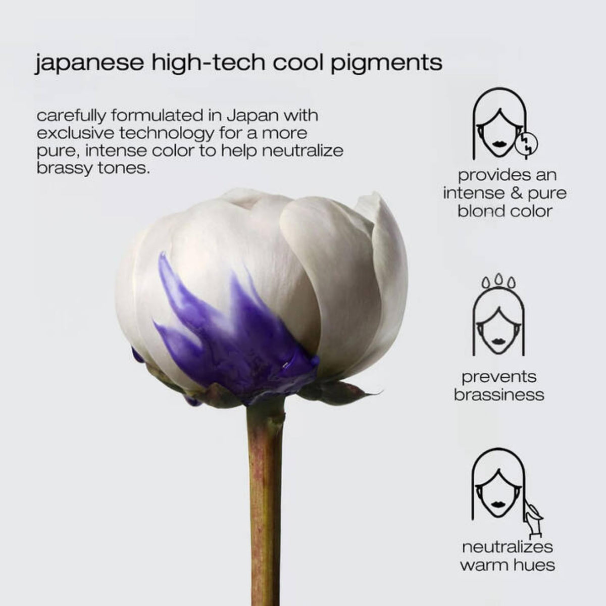 Professional-grade formula depicted as premium hair treatment for blonde tones.