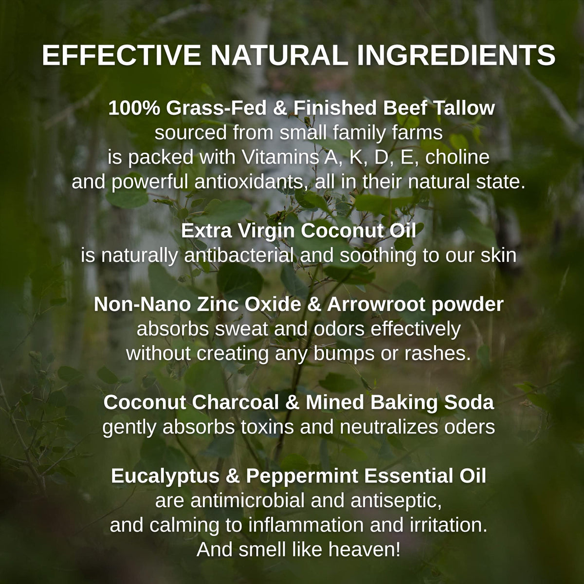 Close-up of ingredients like grass-fed tallow and virgin coconut oil.