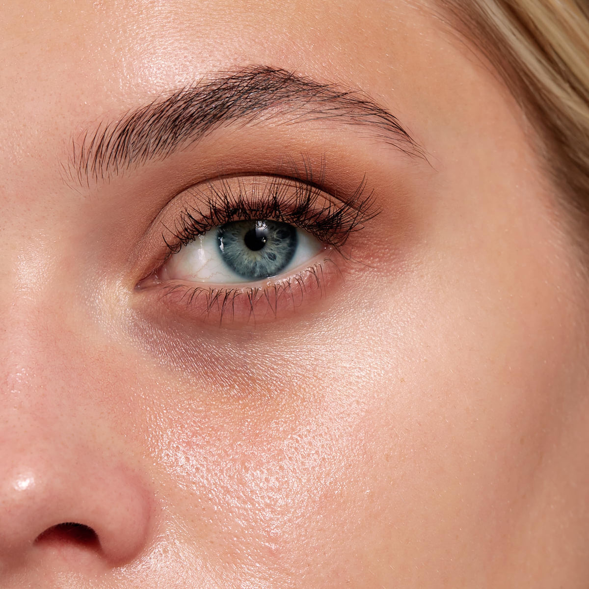 Sigma Beauty F26 domed concealer brush delivers precise control for detailing