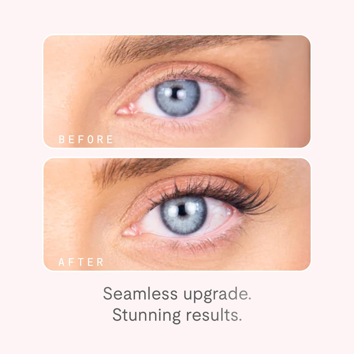 Silly George travel-ready lashes fit neatly in a compact kit.