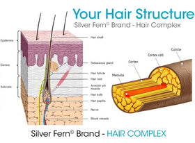 Silver Fern Hair Complex label highlights Keragen-IV keratin benefits.