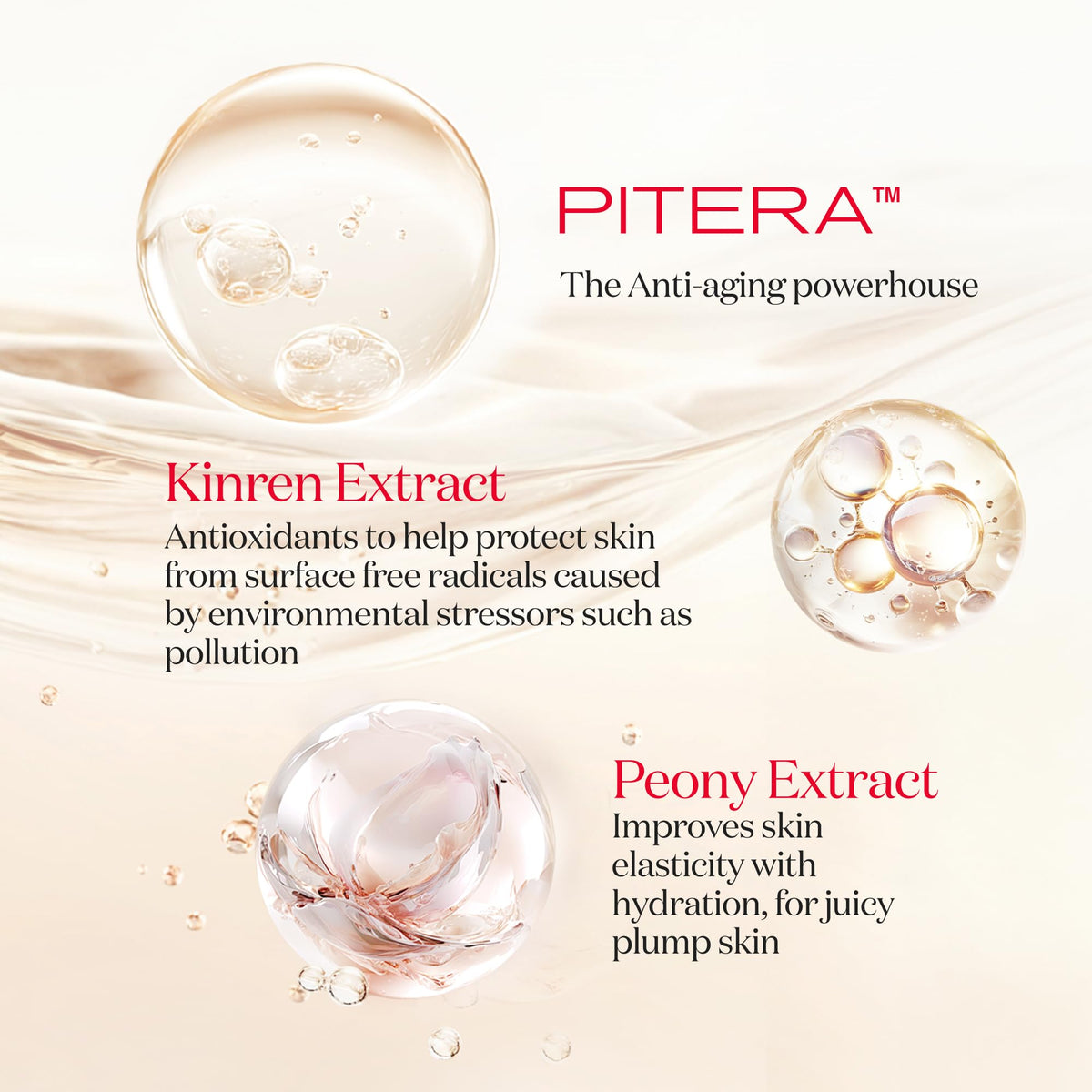PITERA ingredient close-up signals nourishing fermentation complex for balanced skin.