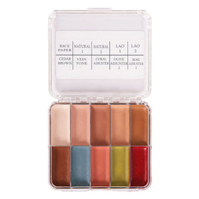 Skin Illustrator On Set Flesh Tone Palette swatches showing versatile tones for blending