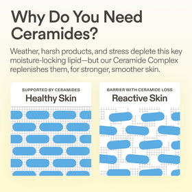 Skinfix Ceramide Prime Whipped Cream applied to skin for a soft, dewy glow.