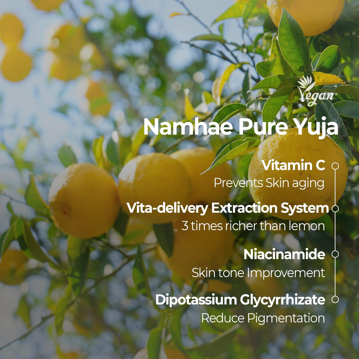 SKINFOOD Yuja C Vita Daily Sheet Mask essence close-up for hydration.