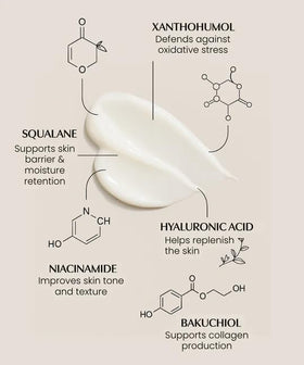Graphic of SKINTENSIVE ALPHAX-B2H complex ingredients blend