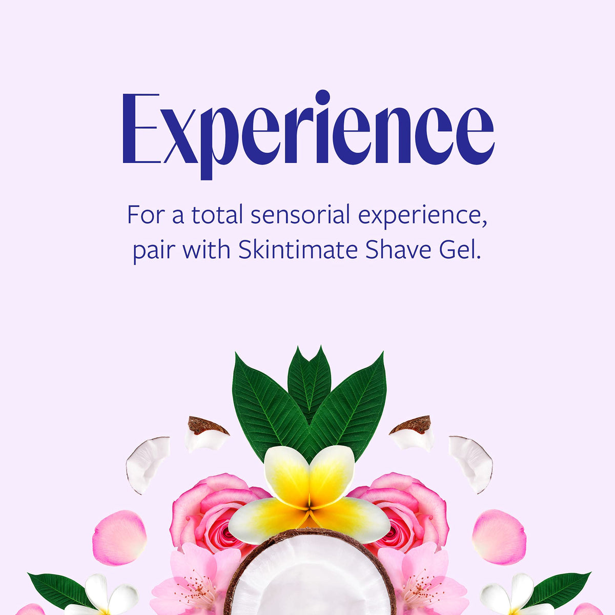 Skintimate refill compatible with Bloom, Root, and Spark razors for easy replacement.