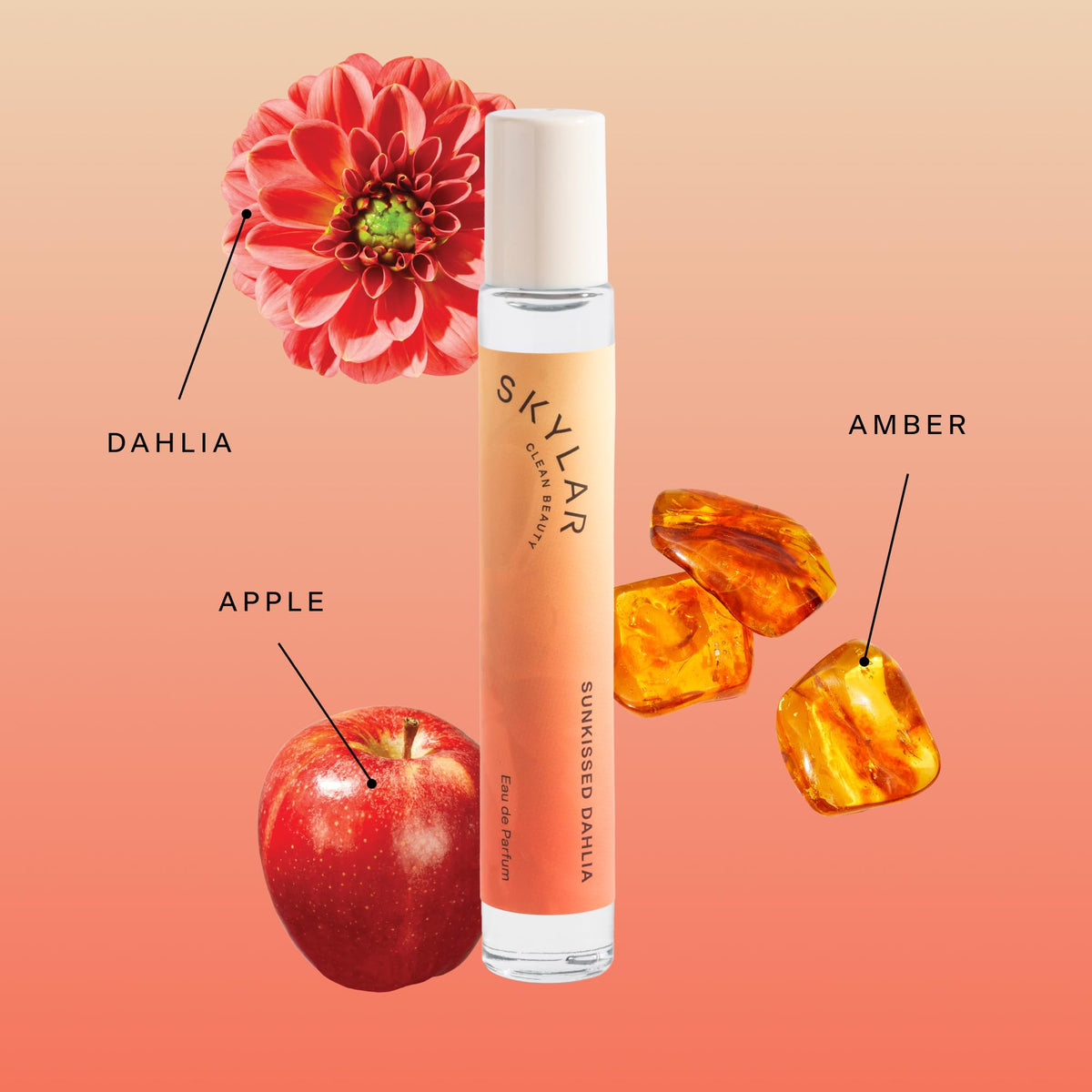 Closeup of Skylar Sunkissed Dahlia bloom showing rich floral character for daily wear
