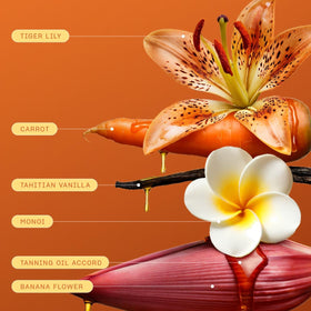 Snif tropical solar fragrance label close-up highlighting vegan ingredients.