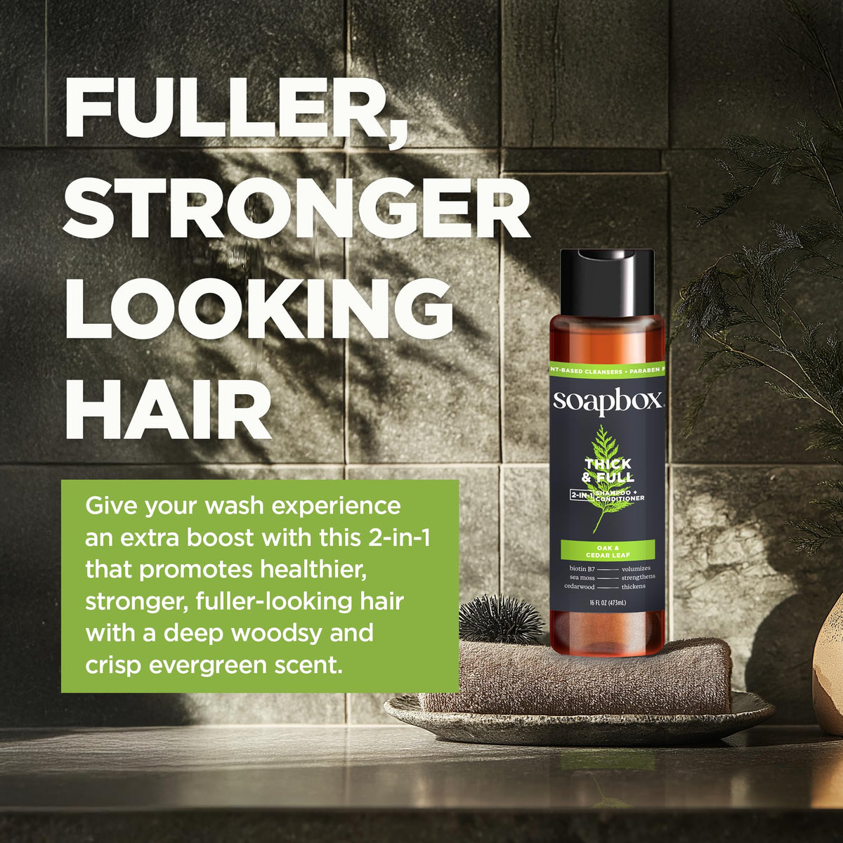 Soapbox Men's woodsy oak cedar scent image highlights natural fragrance.