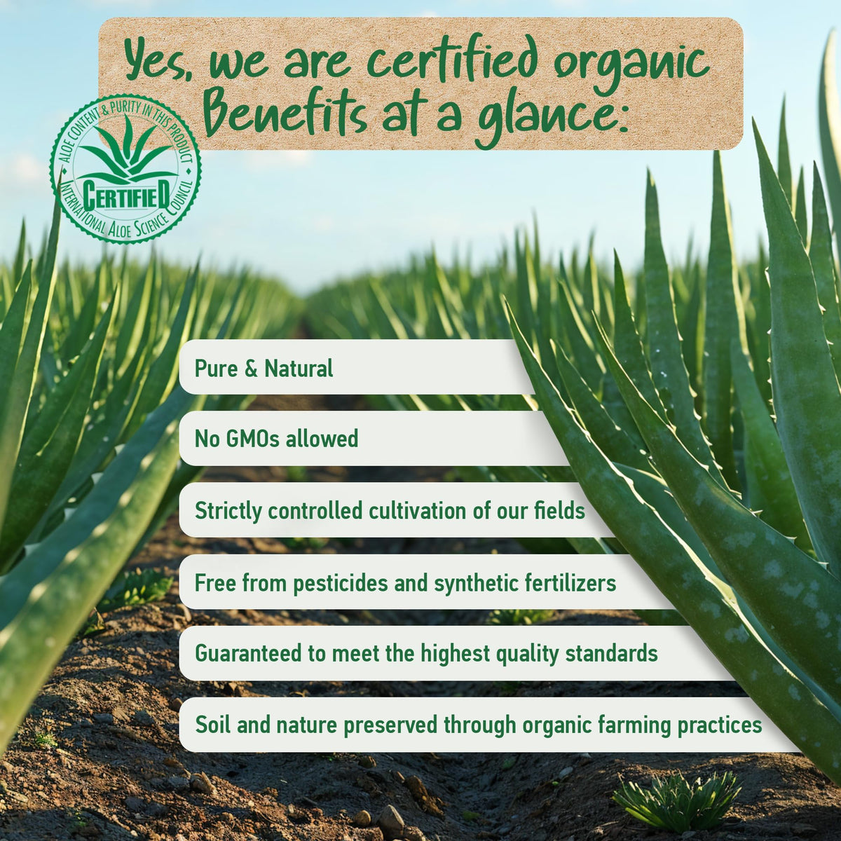 Soena Aloe Vera Gel hair care application for natural shine