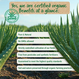 Soena Aloe Vera Gel hair care application for natural shine
