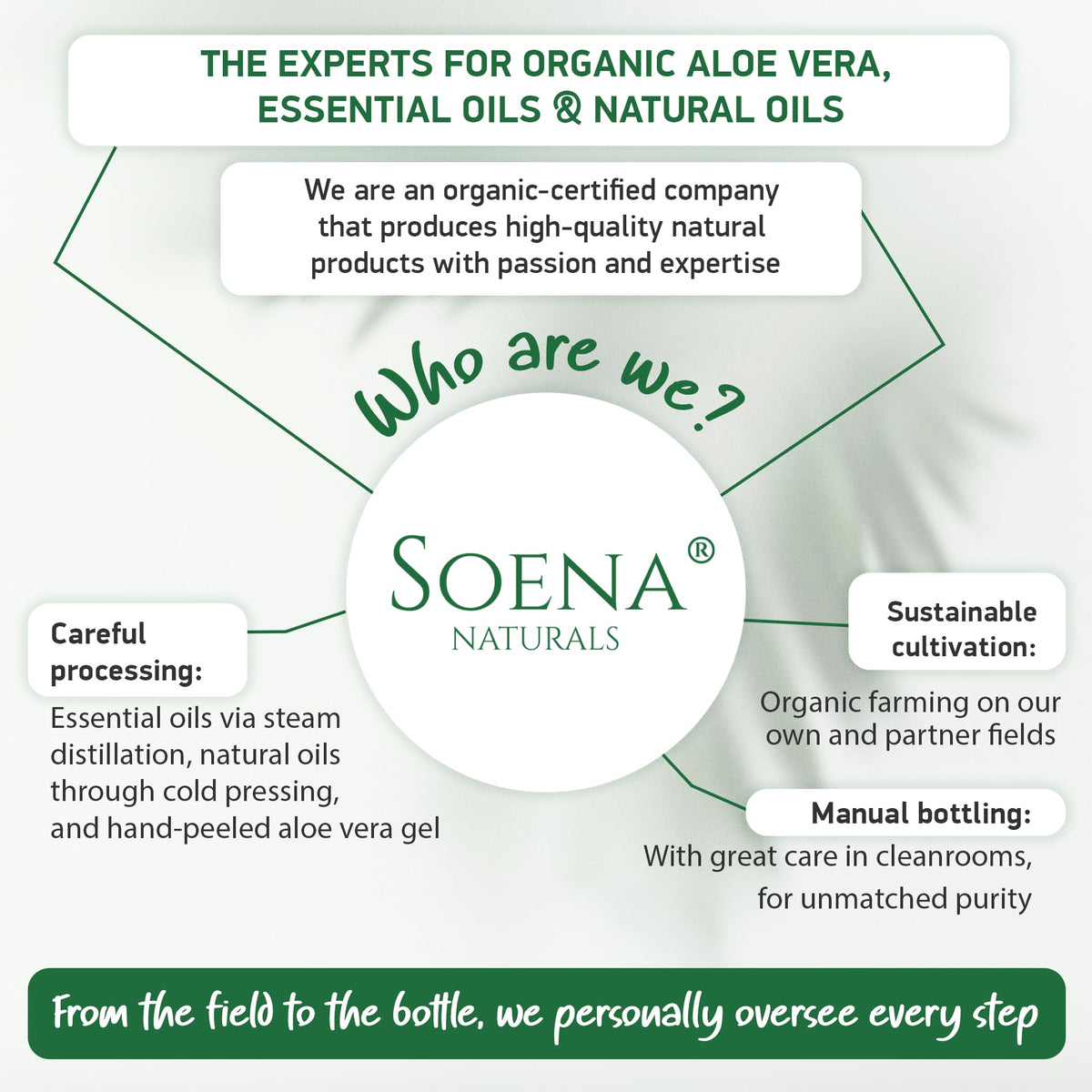 Soena Aloe Vera Gel soothing insect bites and minor skin irritation