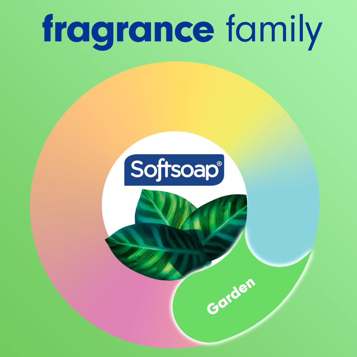 Softsoap moisturizing lather appears on skin for gentle hydration