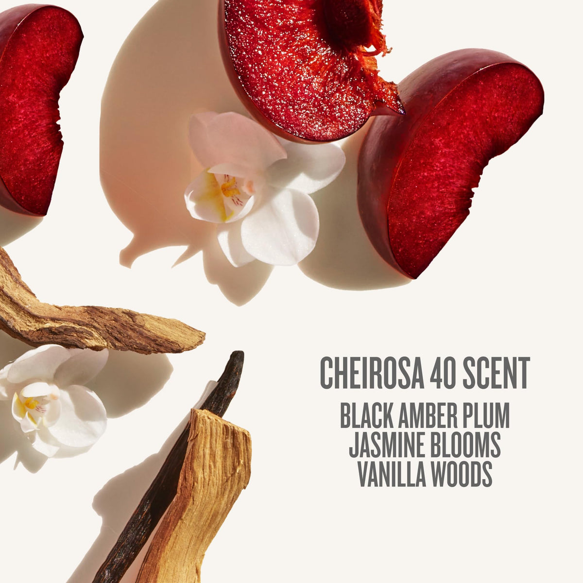 Sol de Janeiro Bom Dia cream on skin suggests glow and moisture