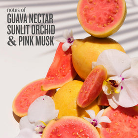 Sol de Janeiro fragrance mist duo highlighting Cheirosa scents.