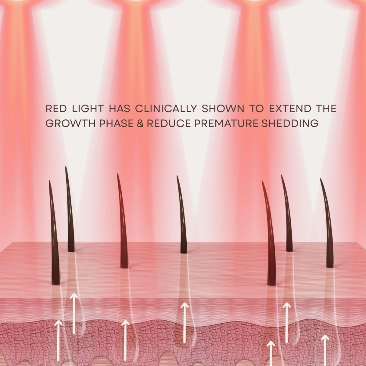 Solaris Laboratories NY Intensive Hair Stimulating Brush packaging overview for easy storage.
