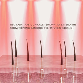 Solaris Laboratories NY Intensive Hair Stimulating Brush packaging overview for easy storage.