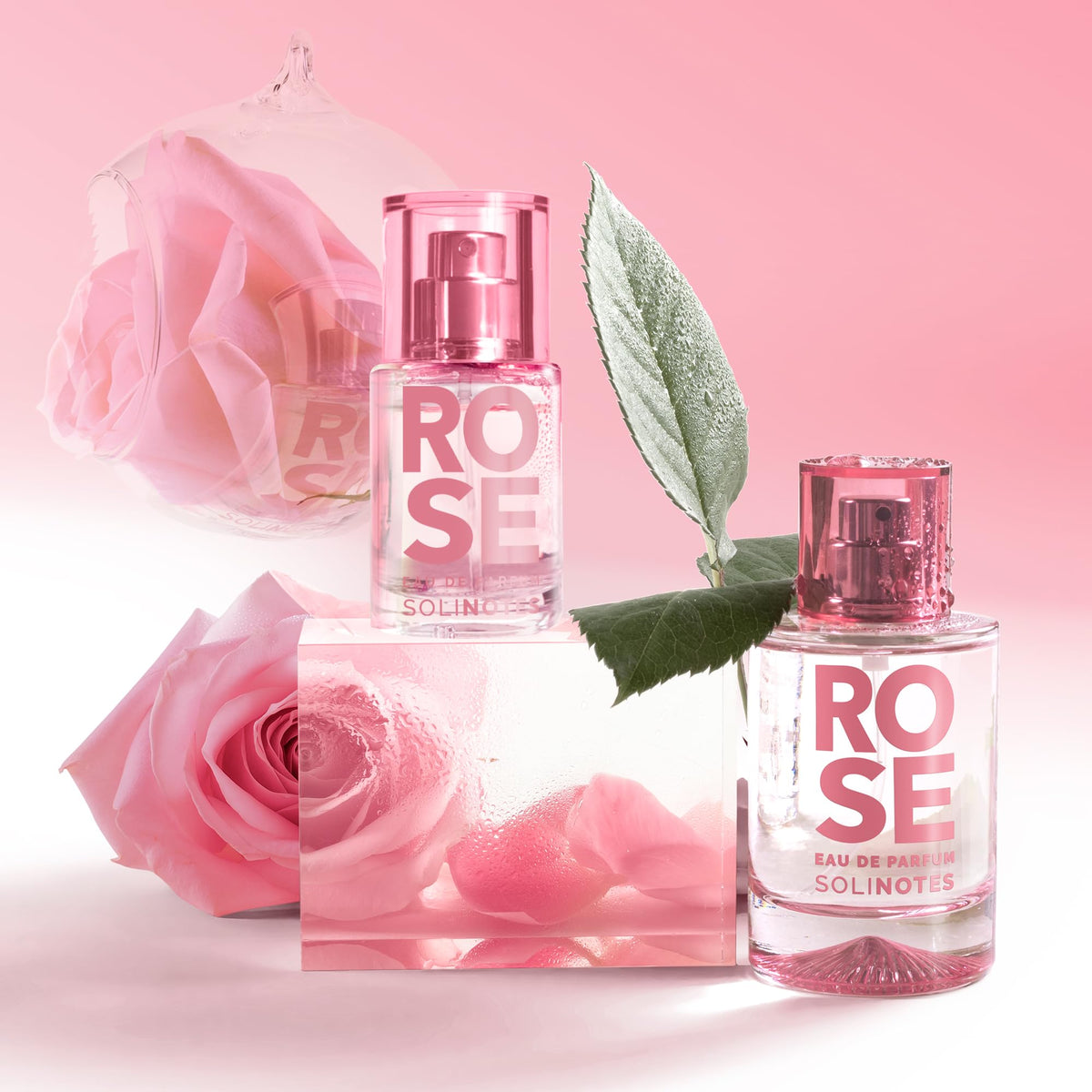 Solinotes Rose cedarwood warmth image suggests balanced, comforting dry-down.