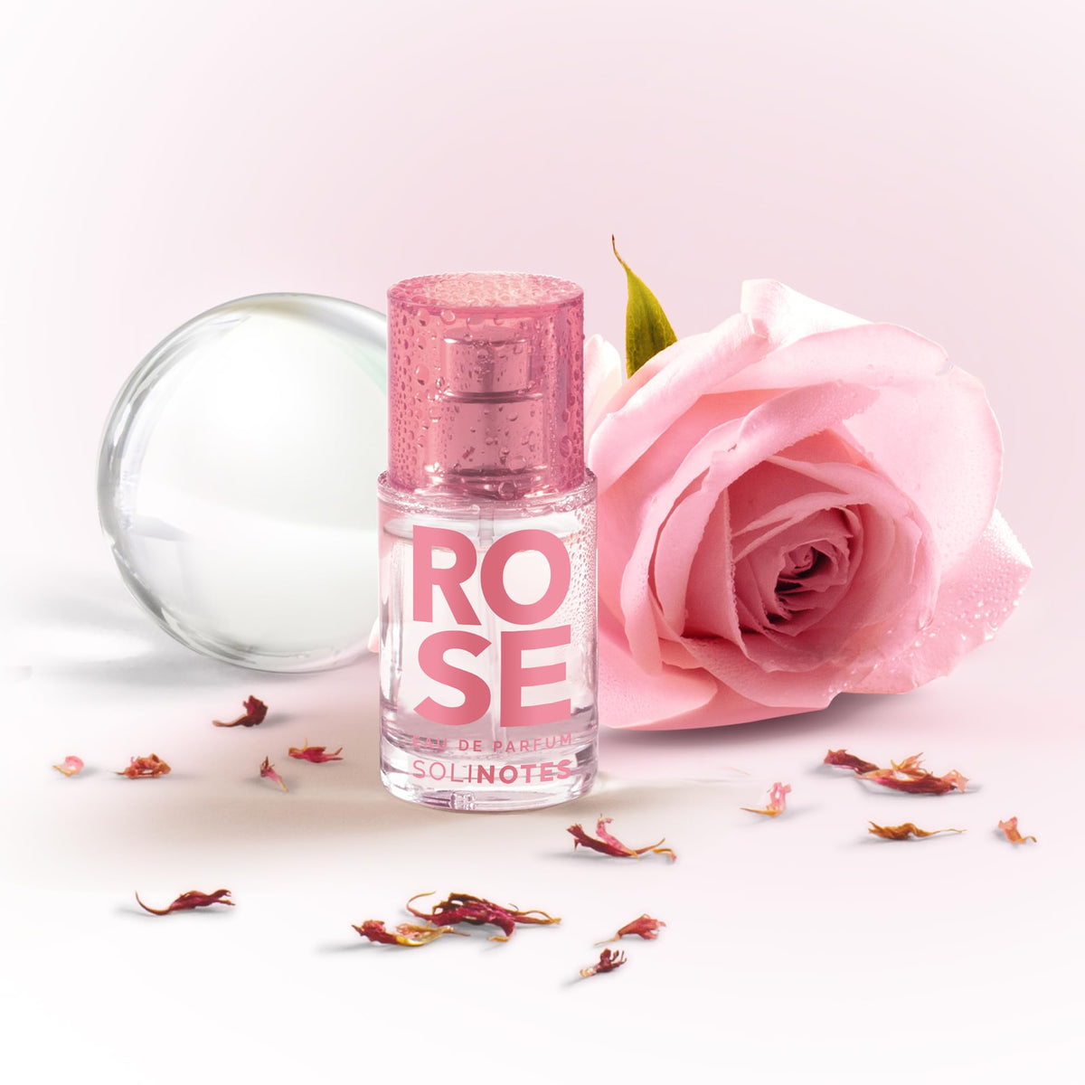 Solinotes Rose gift-pack image hints at thoughtful present ideas.