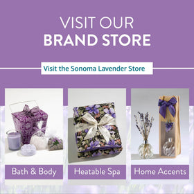 Sonoma Lavender Spa Mask cold therapy option for sinus relief and refreshment.