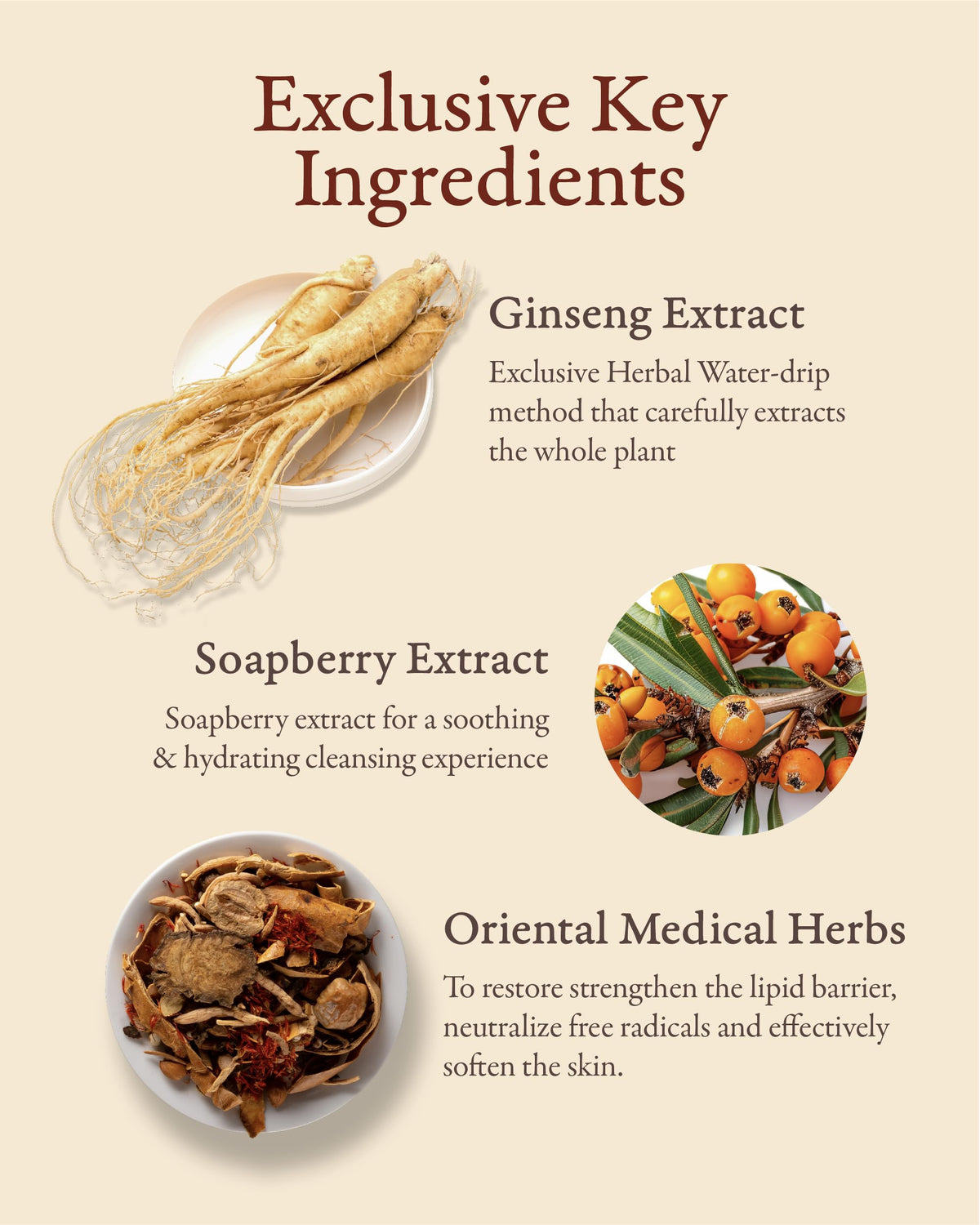 Sooryehan Bon Cleansing Foam with Ginseng Bonchodan Complex cleanses without stripping.