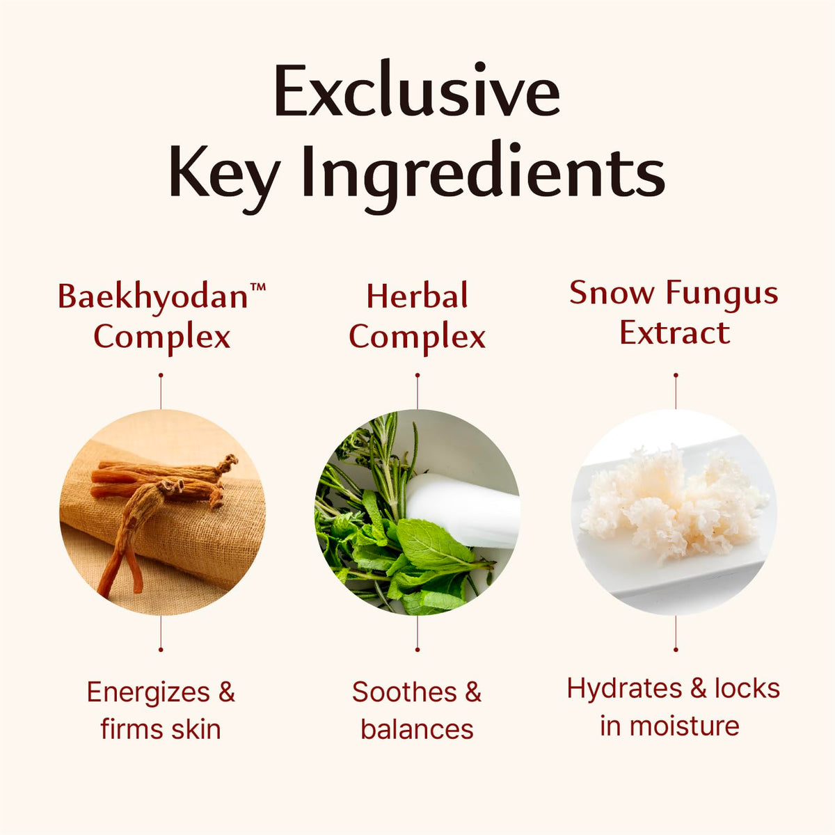 Sooryehan Hyobidam Fermented Cream with wild ginseng for a firmer feel