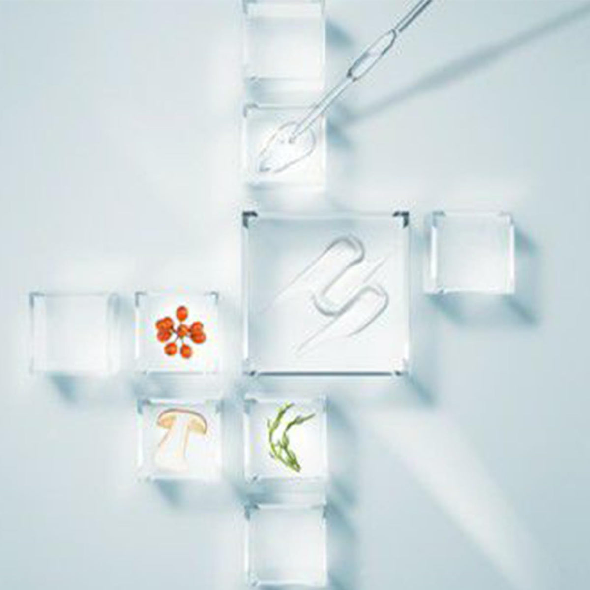 SOTHYS Hydrating Velvet Youth Cream hyaluronic-boost demonstrates moisture retention for a fresh look.