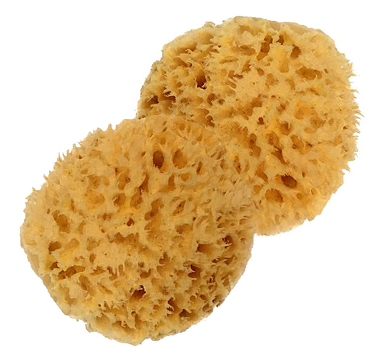 Two 3-4 inch baby sponges for easy bath routines.