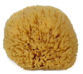 Spa Destinations natural sea sponge 6-7 inch, textured surface for gentle exfoliation