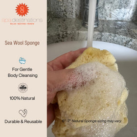 Spa Destinations natural sea wool sponge in recyclable packaging