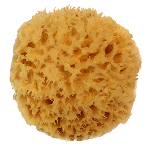 Spa Destinations sea wool sponge shown in shower routine for daily use