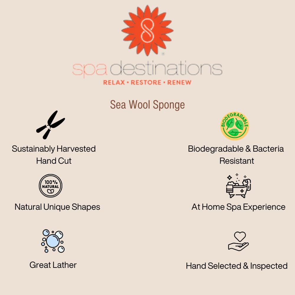 Spa Destinations renewable resource sea wool sponge highlights sustainability