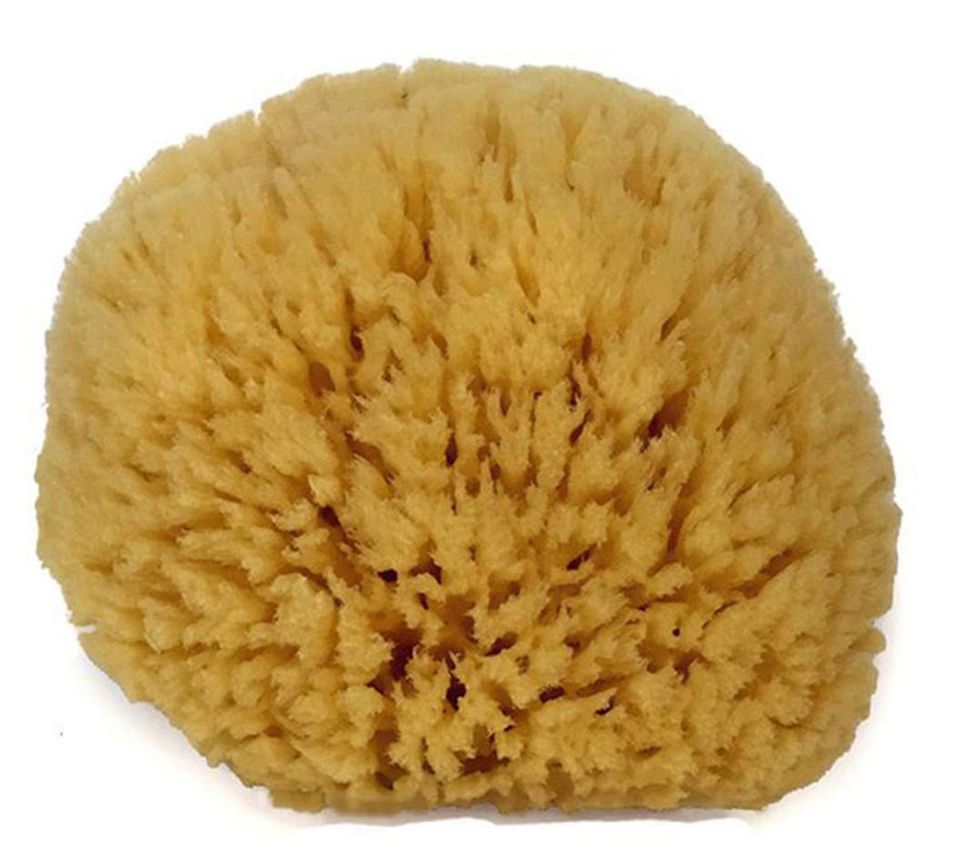 Spa Destinations sea sponge on display, eco-friendly bath accessory for daily use