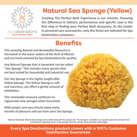 Spa Destinations sea sponge product shot, sustainable material for at-home spa routine