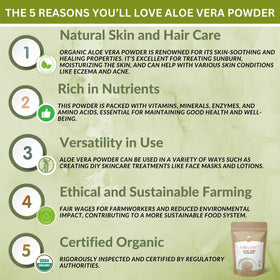 SPICY ORGANIC Aloe Vera Powder face mask mix ready for application.