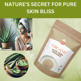 SPICY ORGANIC Aloe powder texture closeup highlights natural powder.