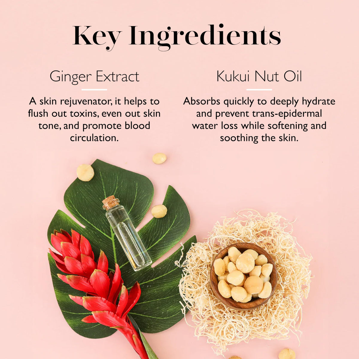 Awapuhi and Kukui Nut Oil ingredient close-up from SPONGELLÉ product.