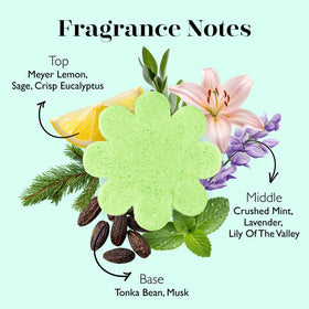 SPONGELLÉ Eucalyptus Mint Eco Buffer massaging in circular motions for smoother skin.