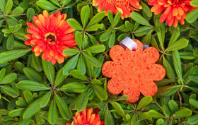 Spongelle exfoliating texture delivers refreshing feel during shower routines.