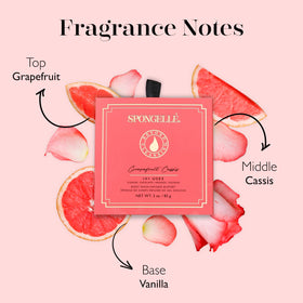 SPONGELLÉ Grapefruit Cassis Wild Flower sponge lather close-up shows creamy activation.