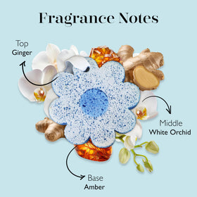 Close-up of foam-lather from SPONGELLÉ Buffer highlighting cleansing action.
