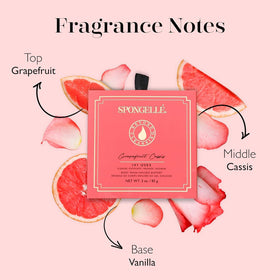SPONGELLÉ shower tool highlights spa-like cleansing at home.