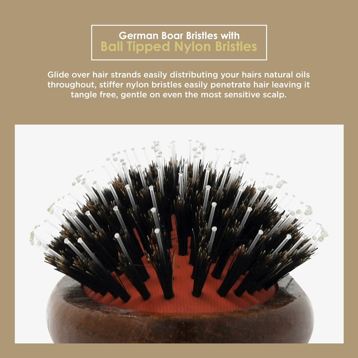 Spornette ball-tipped nylon bristles penetrate hair for detangling and smoothing.
